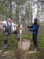 Väsyneenä havannointi herpaantui!!! Tolpan pää säilyi ehyenä.